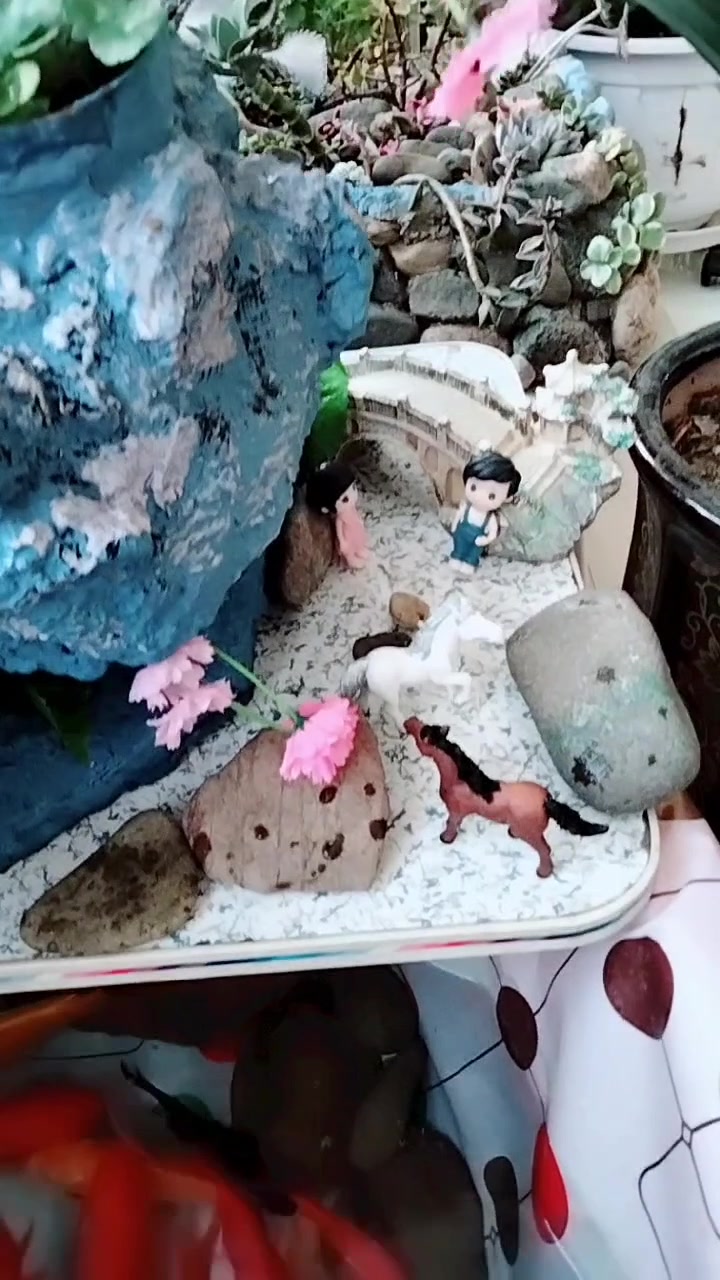 室内做了个小鱼池