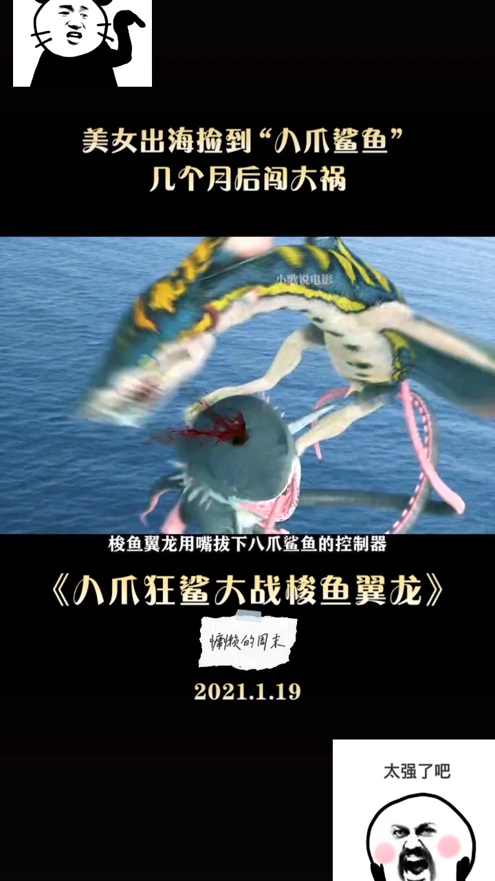 八爪鲨鱼大战梭鱼翼龙