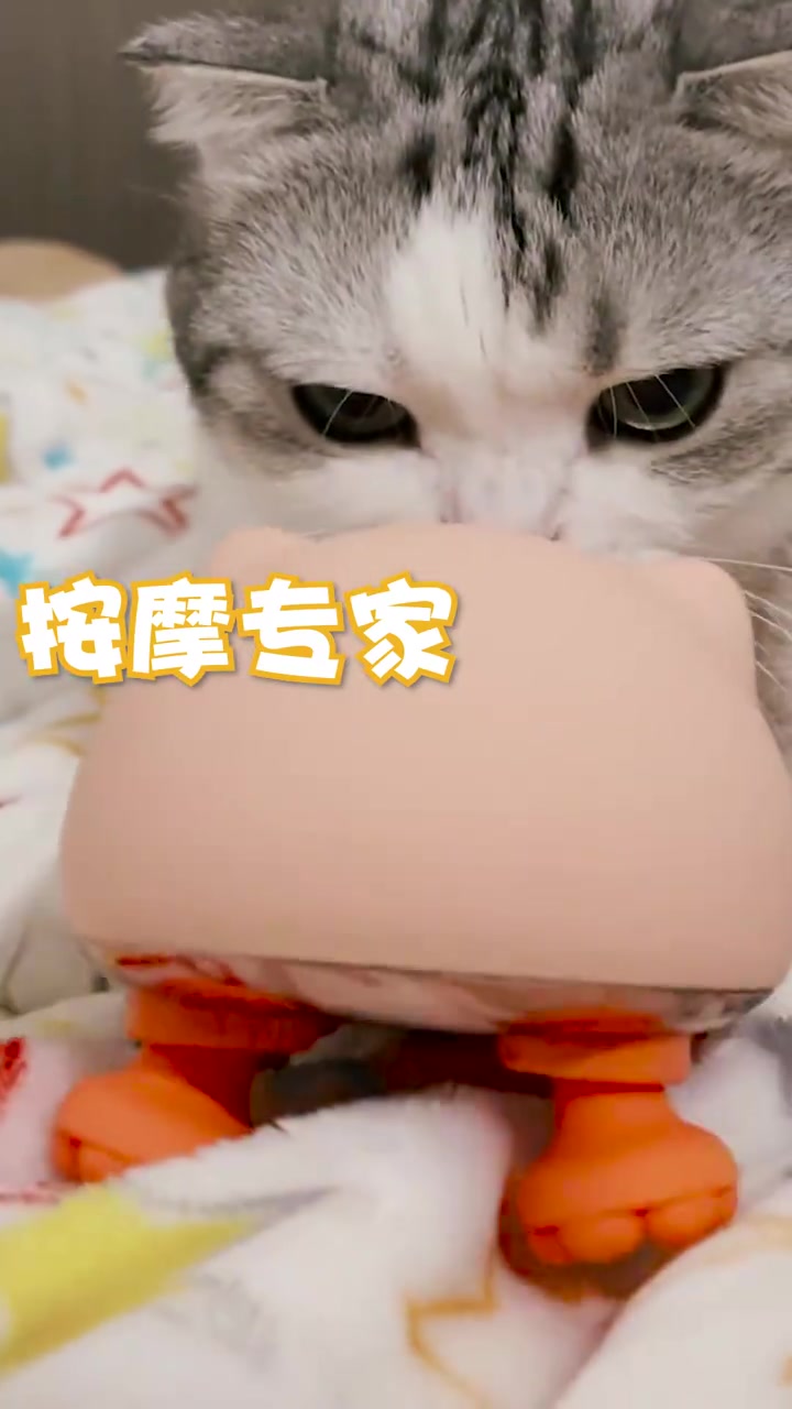 #萌宠# 你见过这么喜欢按摩的小猫咪吗? 好舒服好舒服 泡芙的大脑袋好舒服 呼呼