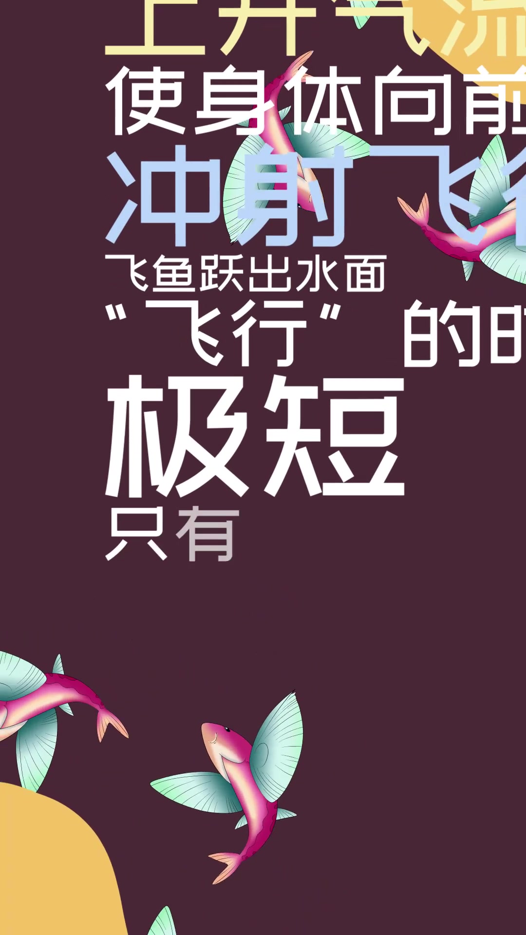 飞鱼是怎么飞起来的?