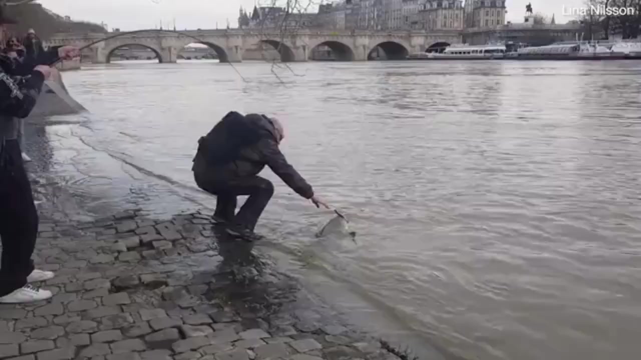 【法国巴黎一男子从塞纳河里钓上一条巨型鲶鱼】1月20日,在法国巴黎卢浮宫博物馆附近,一名男