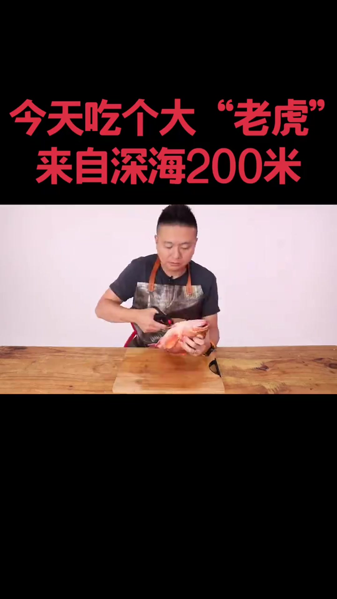 200米深海带来这条超大的老虎鱼,现场顿的味道就很鲜!