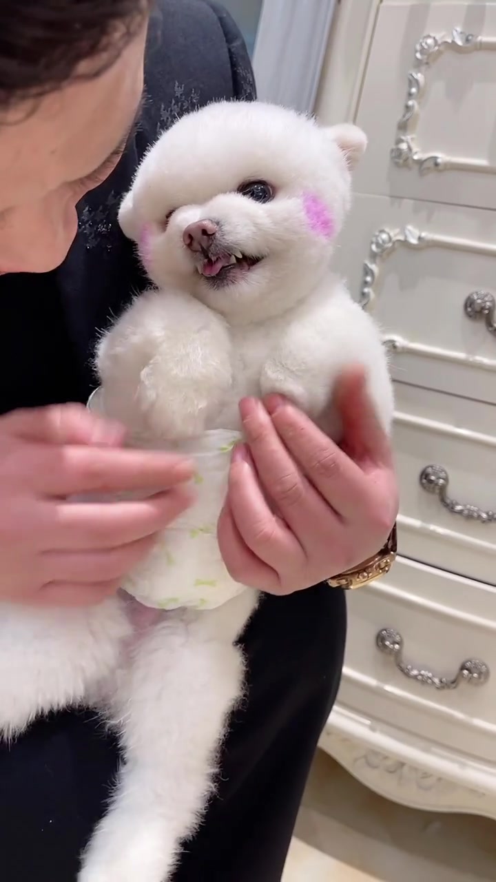 闹妈给闹闹戴尿不湿,闹闹不开心了,瞧它的表情太可爱了