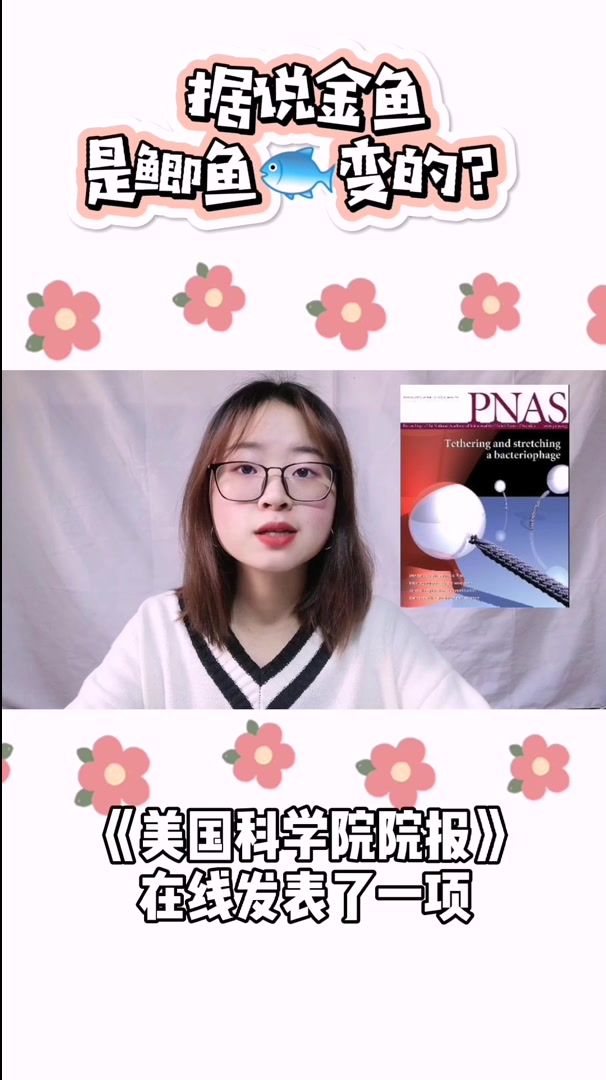 据说金鱼是鲫鱼变的