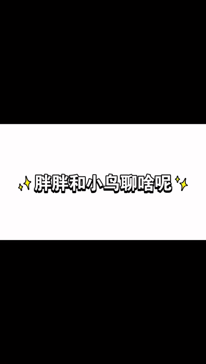 假如小猫咪会说话 肯定天天偷喝奶茶才会这样胖的