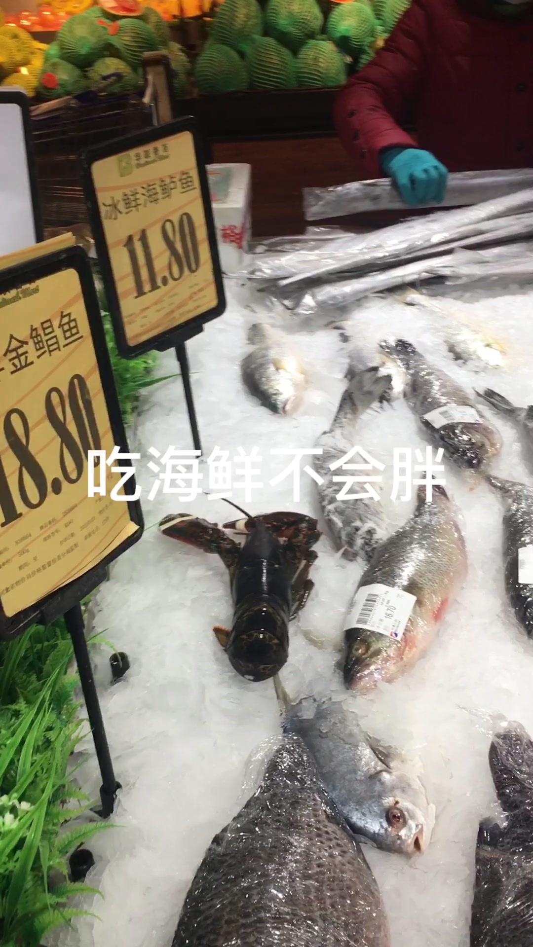 海鲜比肉便宜,重点是吃了不会胖