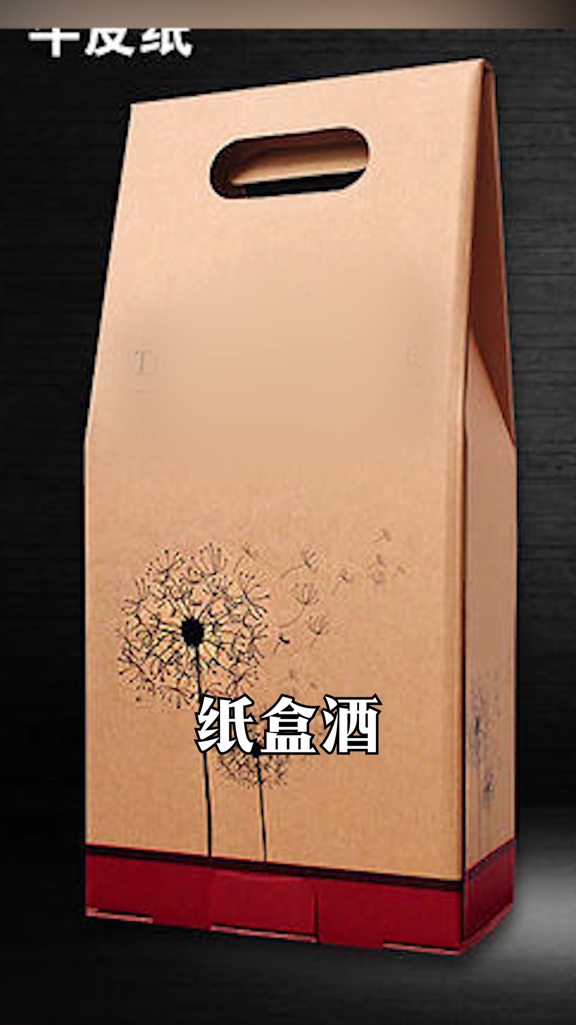 葡萄酒的不同包装