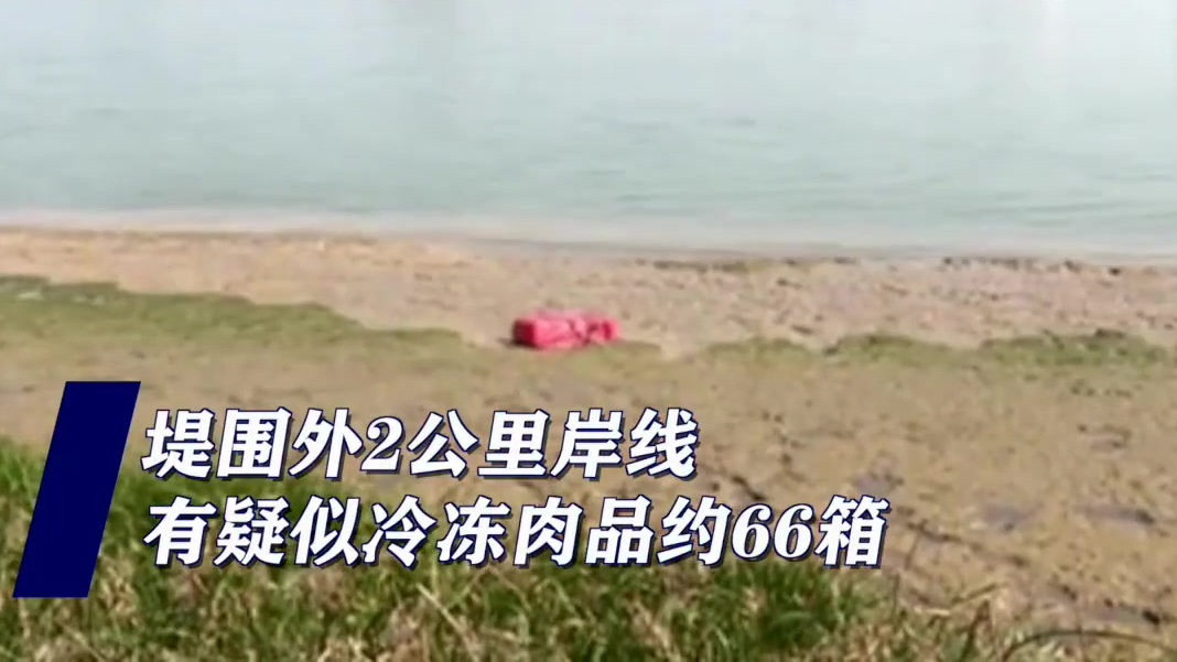 【广东佛山水域漂浮700公斤冻猪肉 疑来自德国涉疫屠宰场】近日,有船员发现广东佛山水域飘着