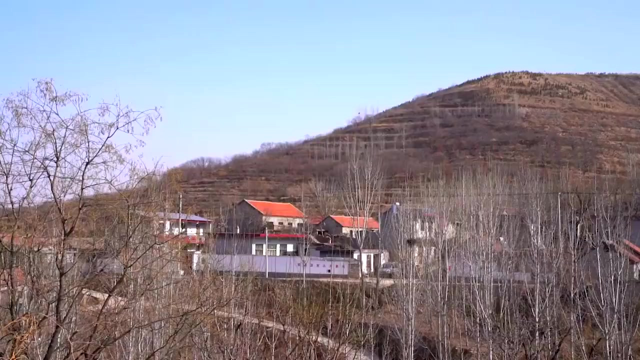 【辣椒眼、豆子串……解密立春的“春鸡”是只什么鸡?】2月3日是立春节气,民间又称为“打春”