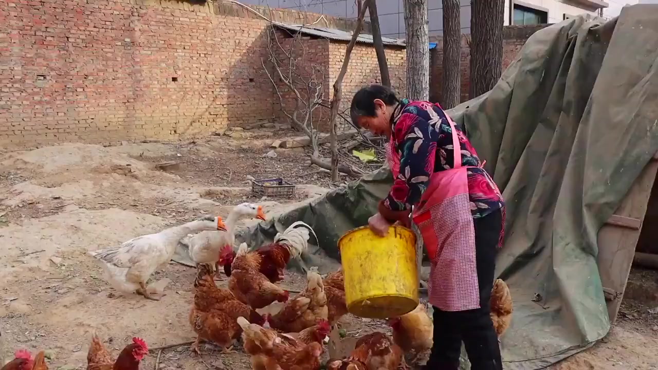 【终于团聚!厨师几十年未给家人做年夜饭,今年掌厨做一桌硬菜[心]】河南长垣,52岁的成德沛