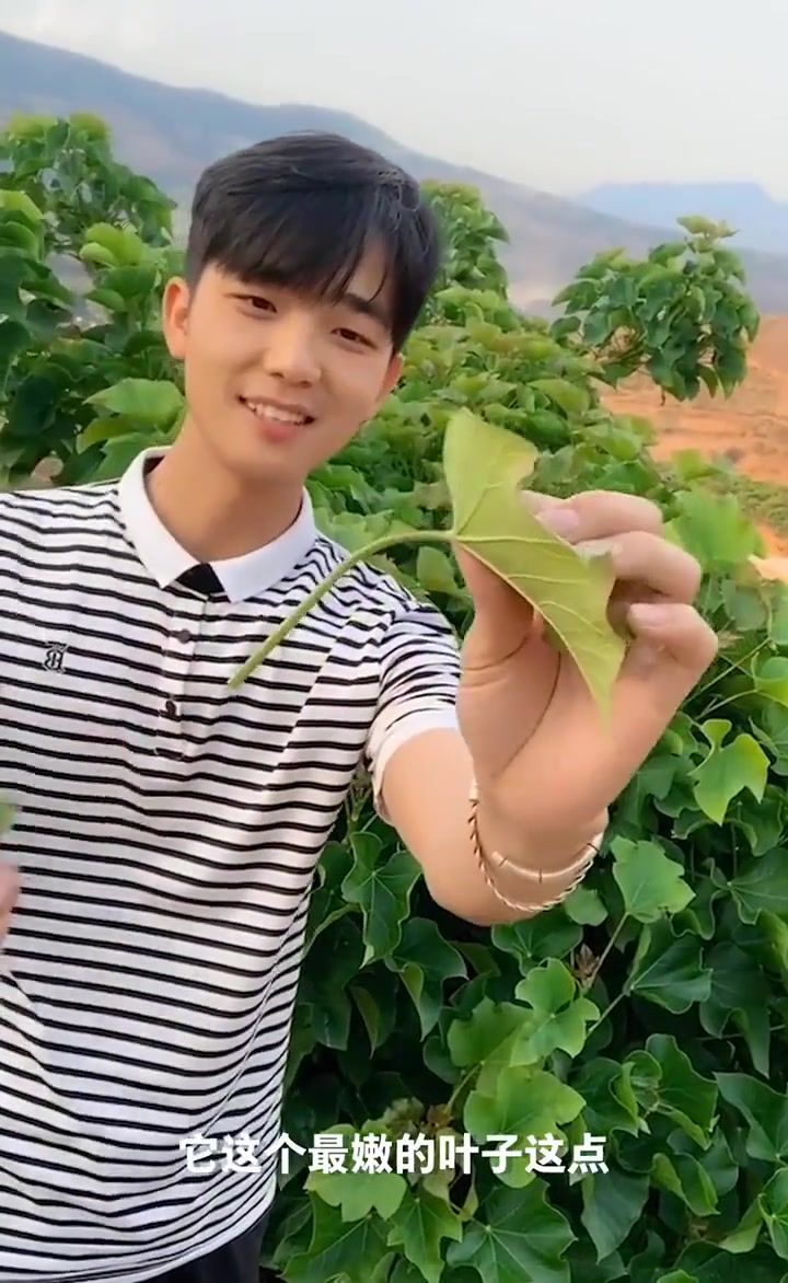 小伙子竟然用树叶吹泡泡,接下来的一幕,令我大开眼界