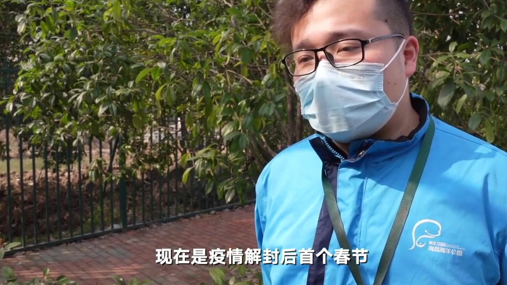 【两只企鹅见证黄鹤楼敲钟仪式 武汉重启时曾来过】#春节168小时# 2月12日,武汉海昌极