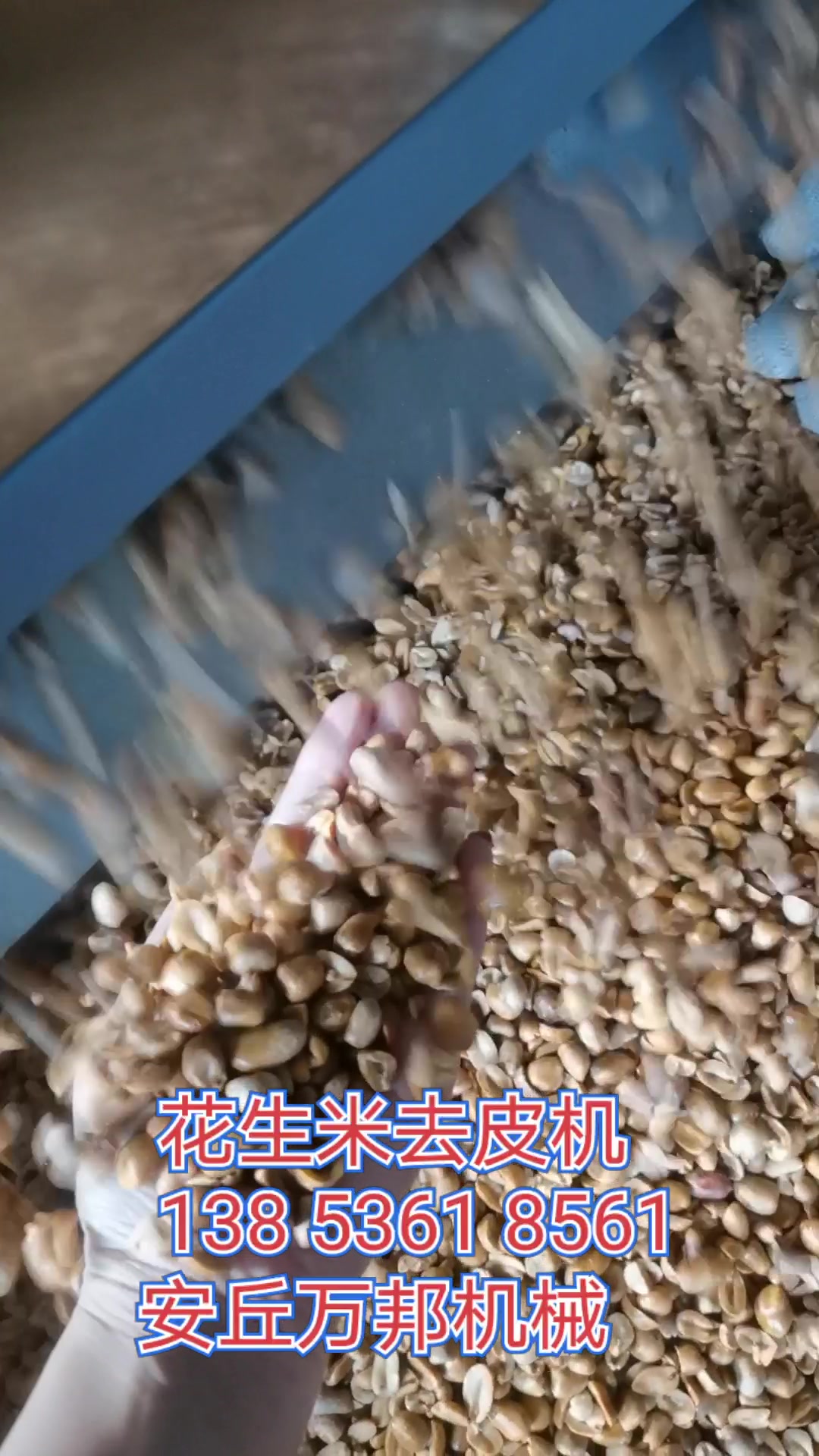 花生米脱皮好帮手:花生米去皮机 脱皮不累手,轻松去红皮