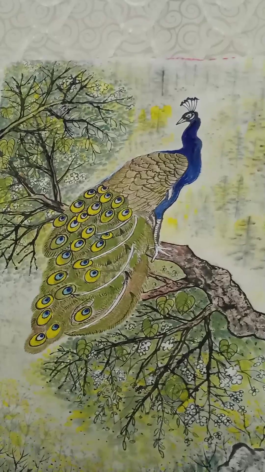 国画工笔画练习:  孔雀图