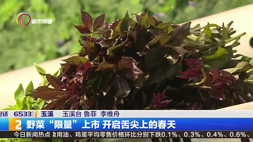 【云南春天限量版野菜上市,光听名字就让人垂涎三尺,你最想吃什么?】对于云南人来说,春天到了
