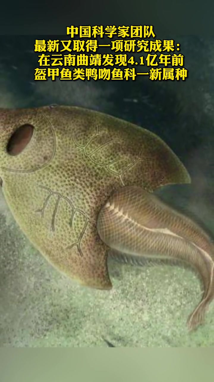中国科学家发现4.1亿年前鸭吻鱼类!