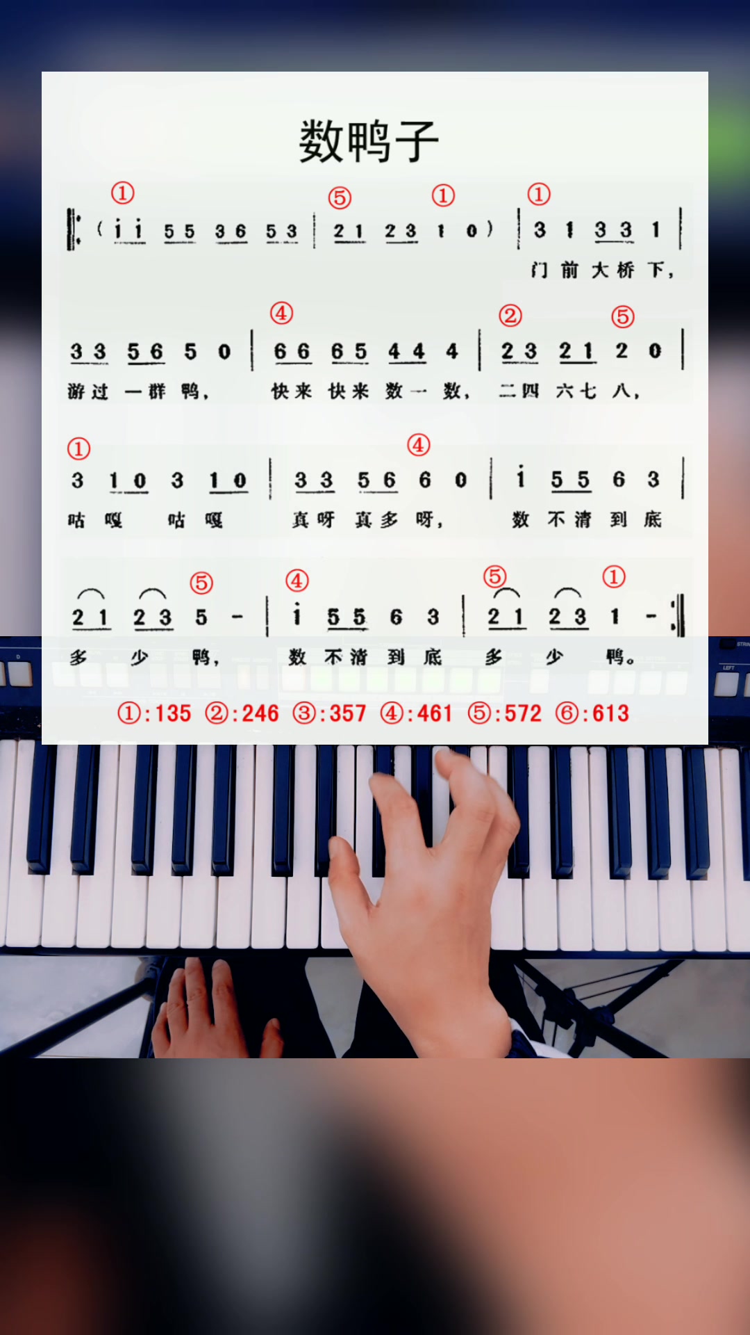 数鸭子简谱钢琴电子琴