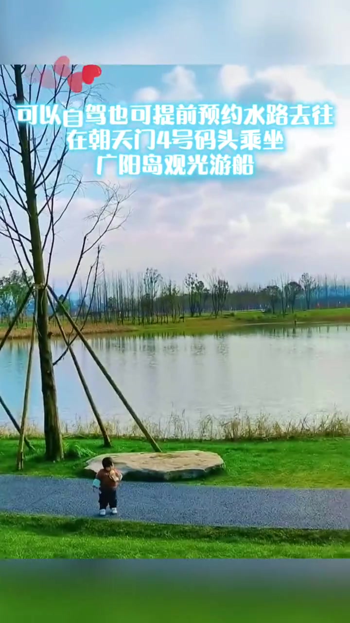 广阳岛再度开放!迎着阳光,去打卡油菜花吧!重庆美好推荐官