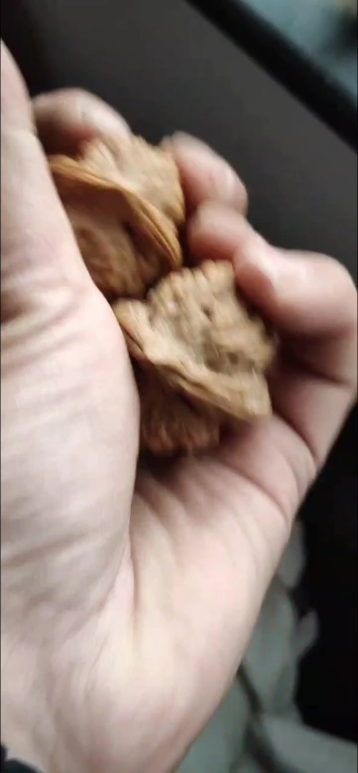 赤龙鸡心,产地:承德兴隆,又名:葫芦鸡。后来开始叫赤龙鸡心。