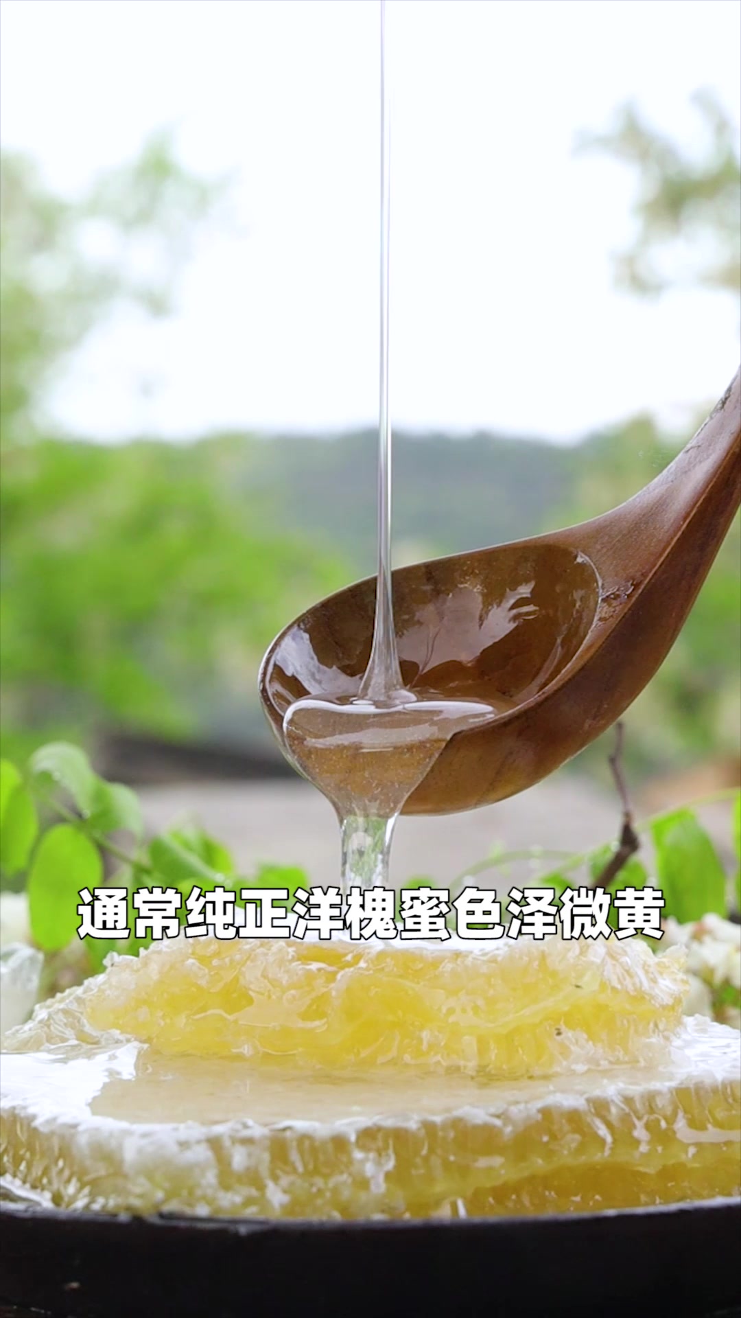 什么样的槐花蜜最好?洋槐蜜是什么颜色的好?看看你选对没有?