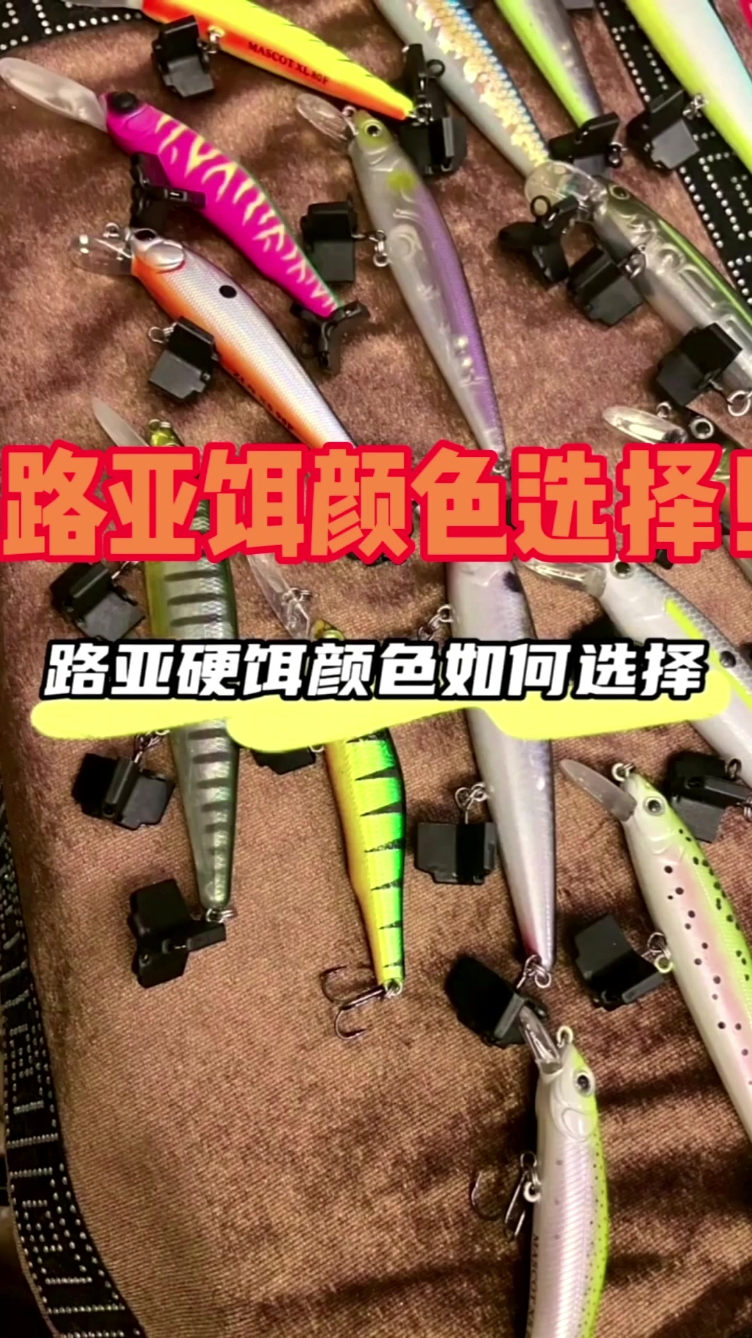 假饵钓鱼:路亚钓法的鱼饵颜色选择