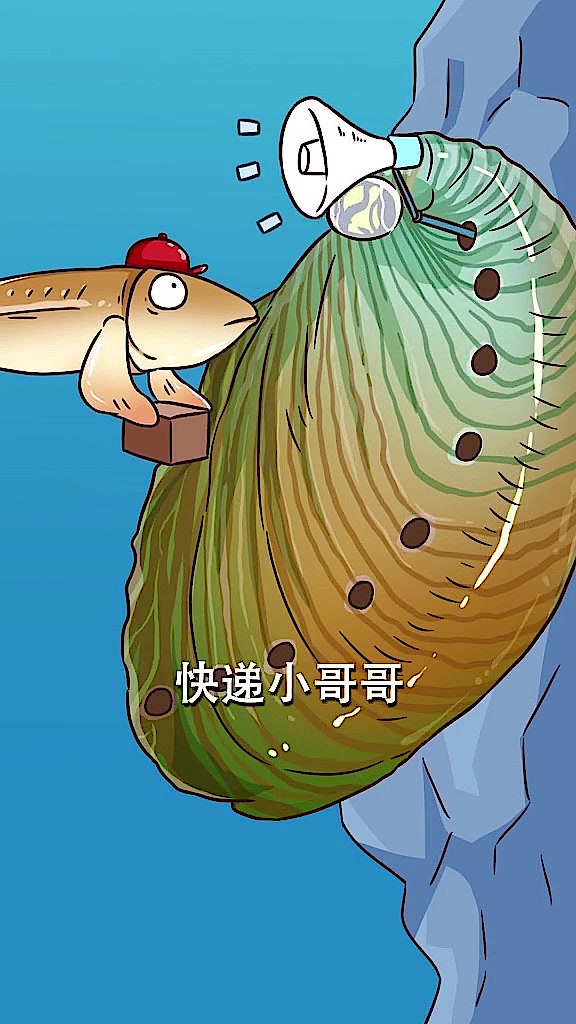 鲍鱼为什么如此之贵?