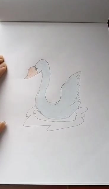 天鹅湖简笔画喜欢吗