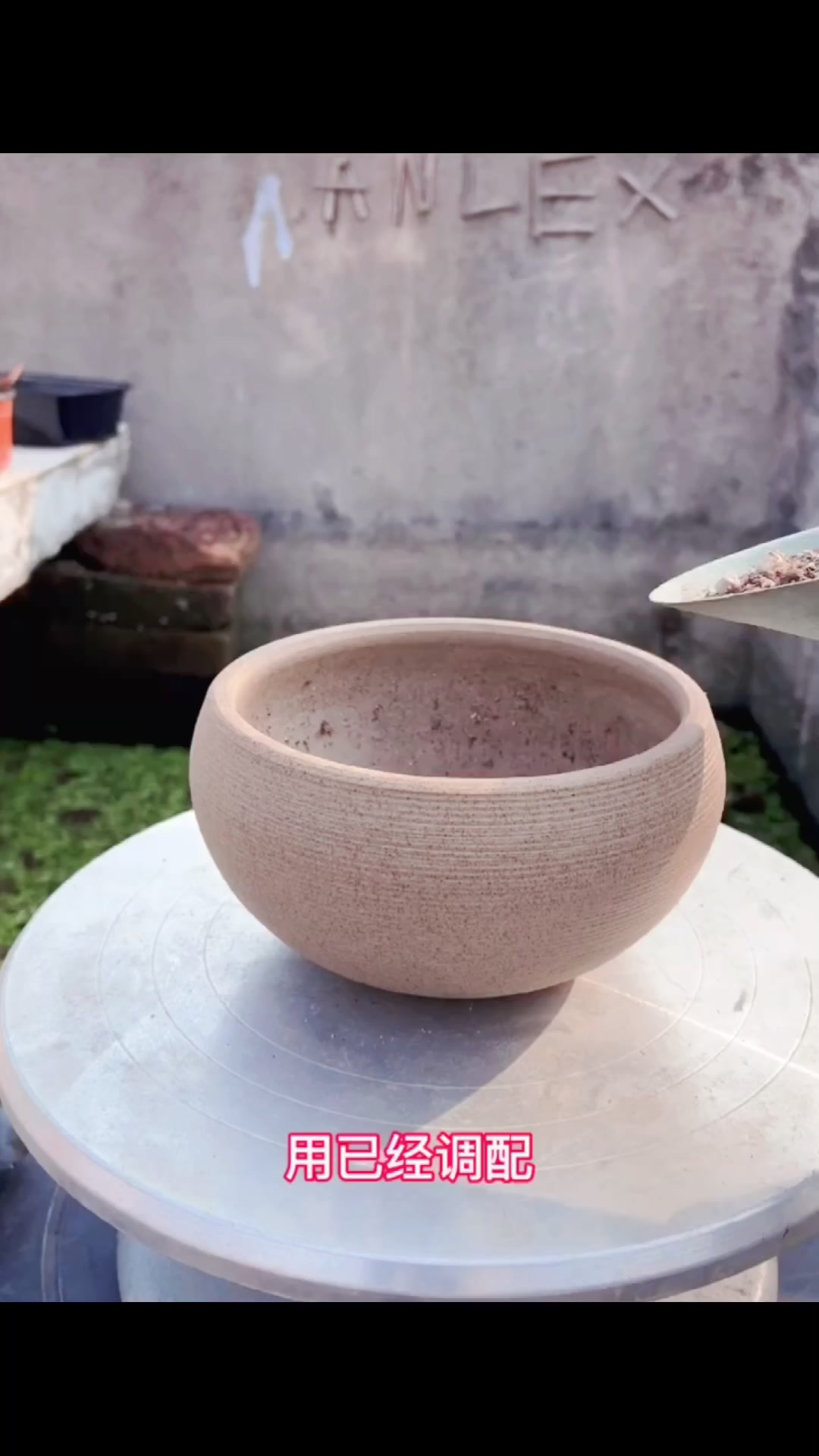 手把手教你双子座多肉换盆方法,简单几步就搞定,看一遍就能学会