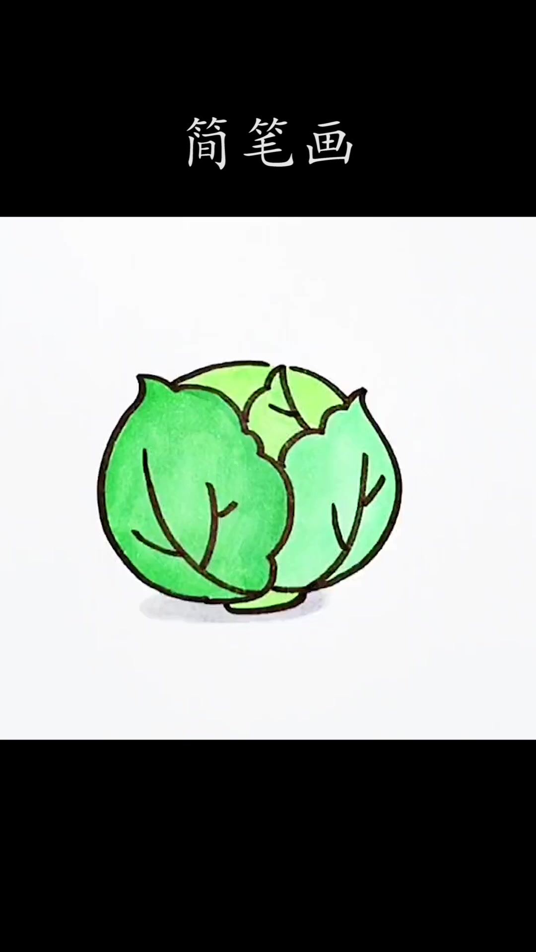 简笔画小课堂,怎么能画好卷心菜,进来看看吧!