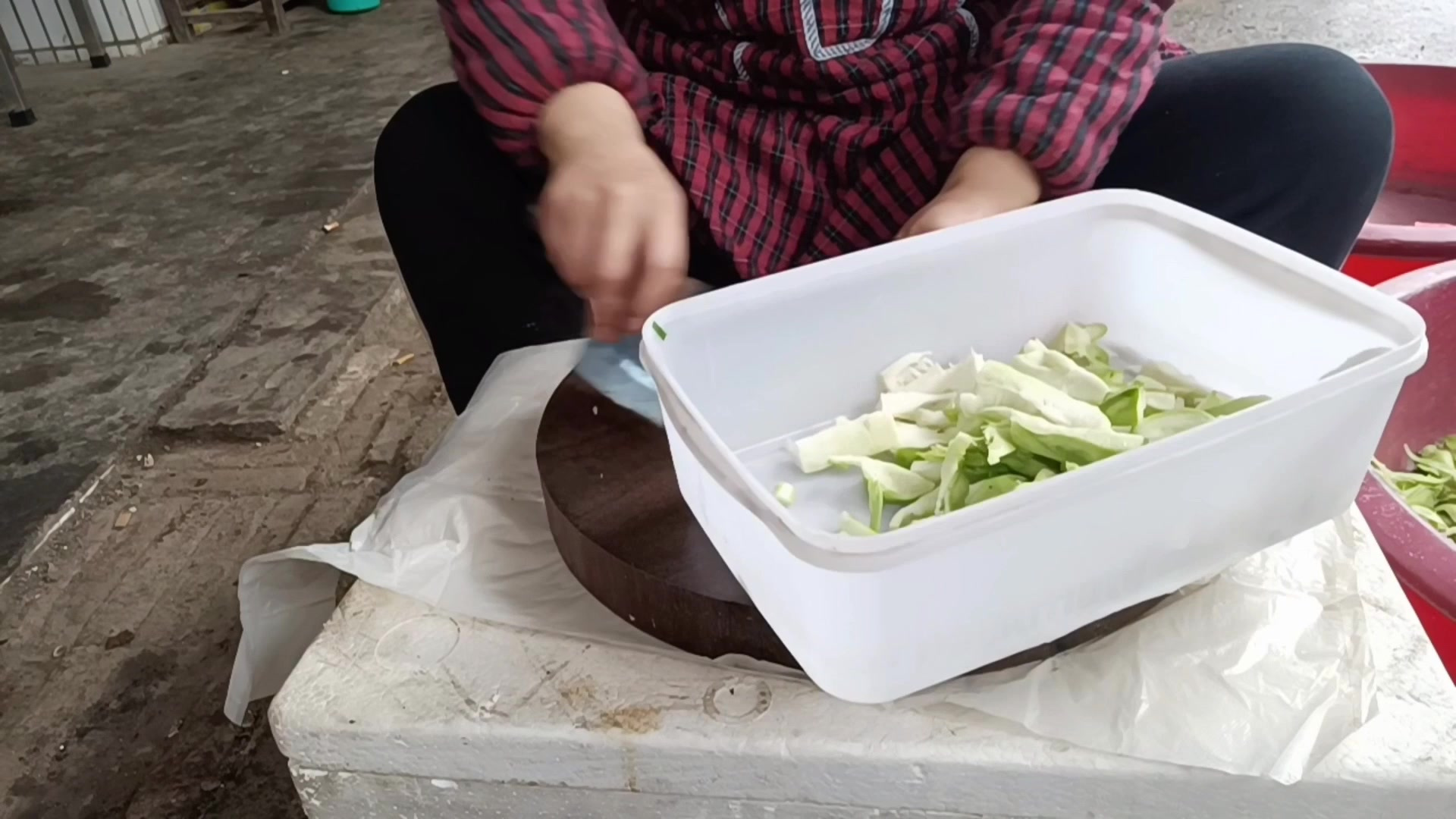 减肥套餐,西红柿炒鸡蛋,营养丰富  十  豆芽
