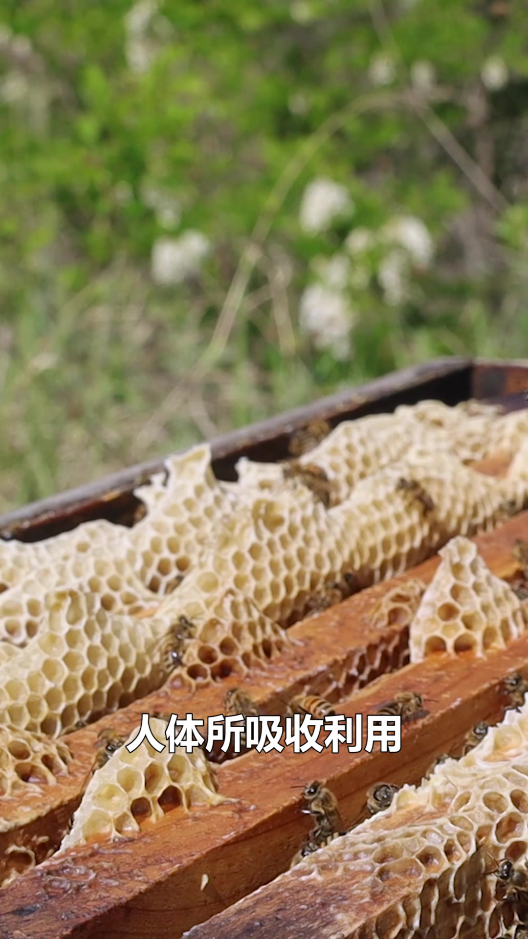 高含糖的蜂蜜,真的没有营养吗?