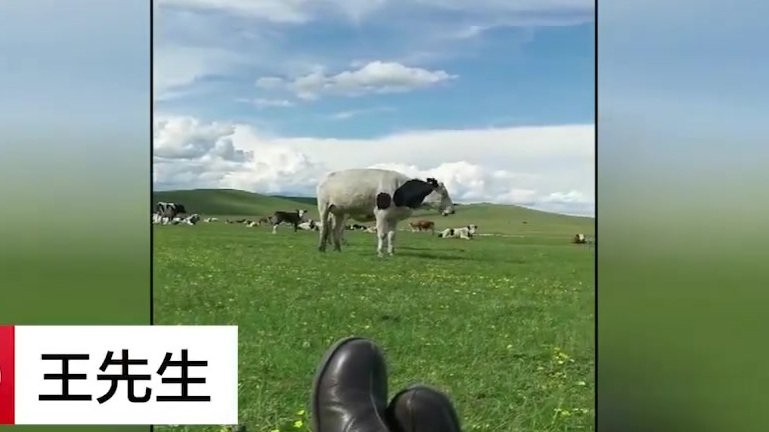 【直播电商用鸭肉冒充内蒙牛肉干: