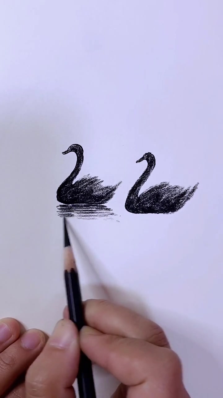 教你用2画出两只黑天鹅,感觉方法很简单,看完我也能画一只!