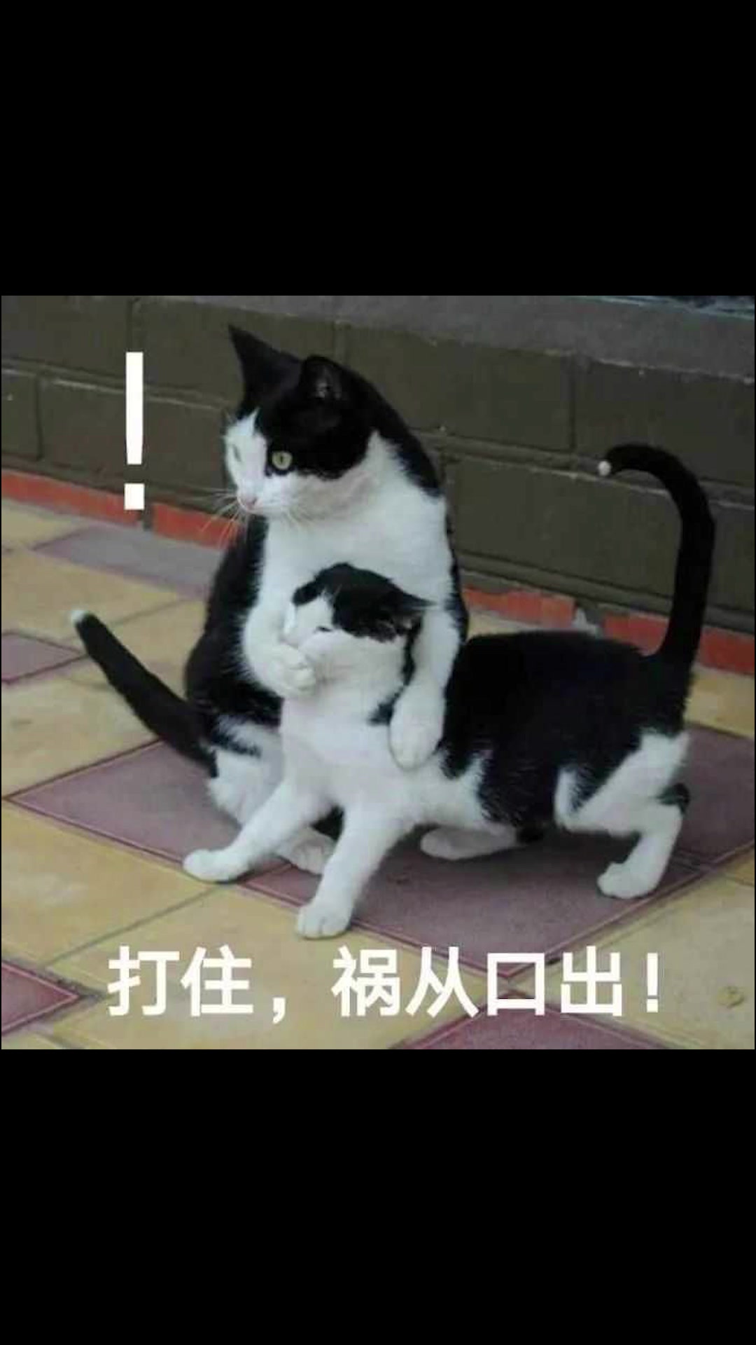 【我的世界动画】用MC还原表情包