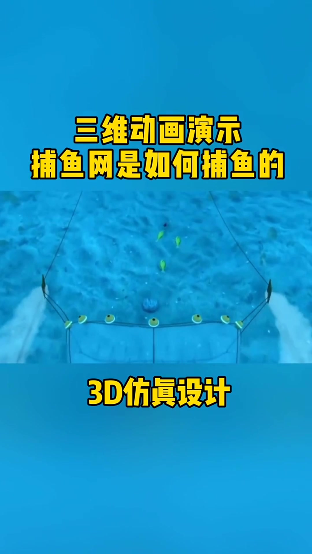 三维动画演示:捕鱼网是如何捕鱼的,真是长见识了!