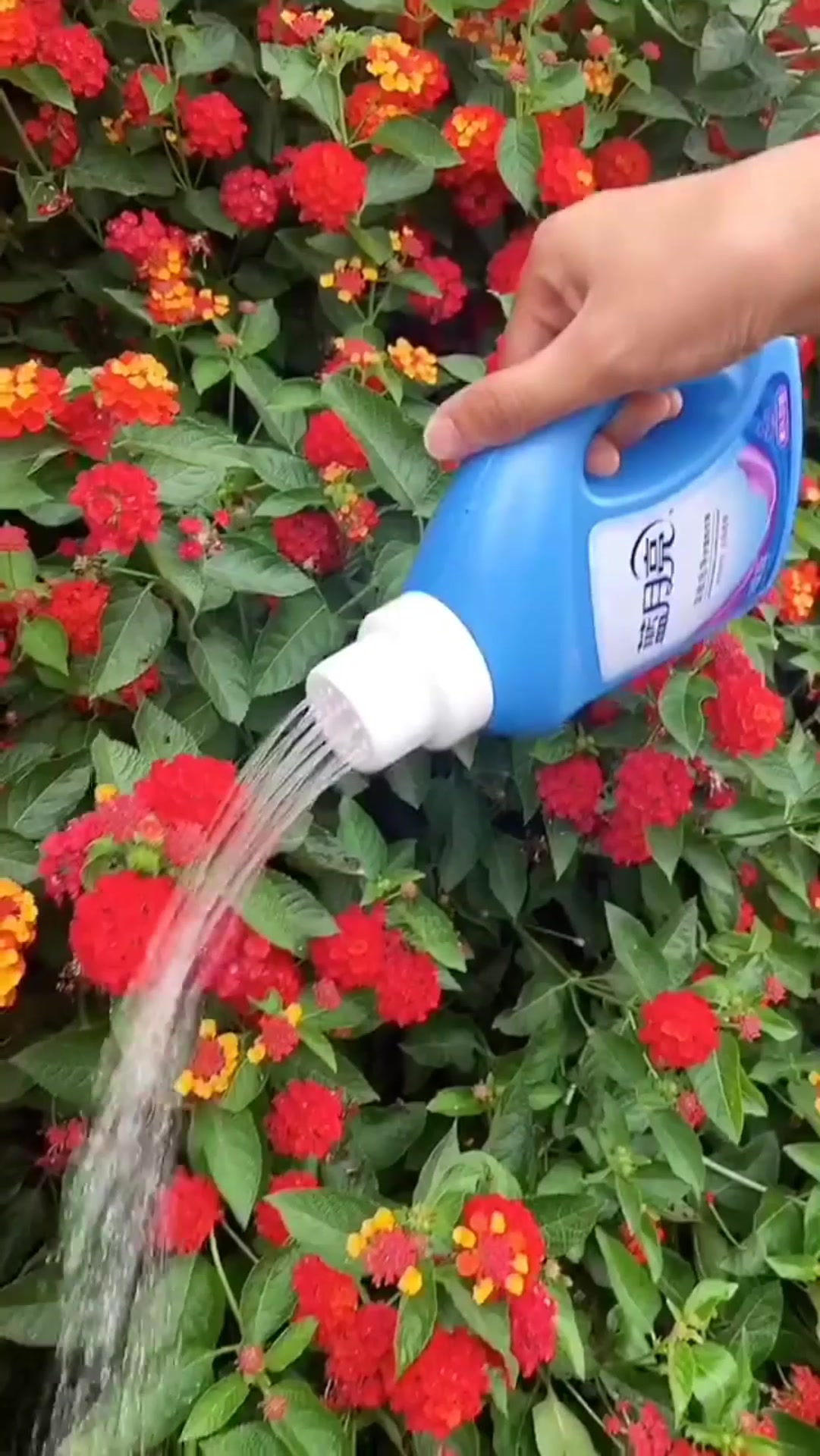 洗衣液瓶子,还能做成花洒,涨姿势了!