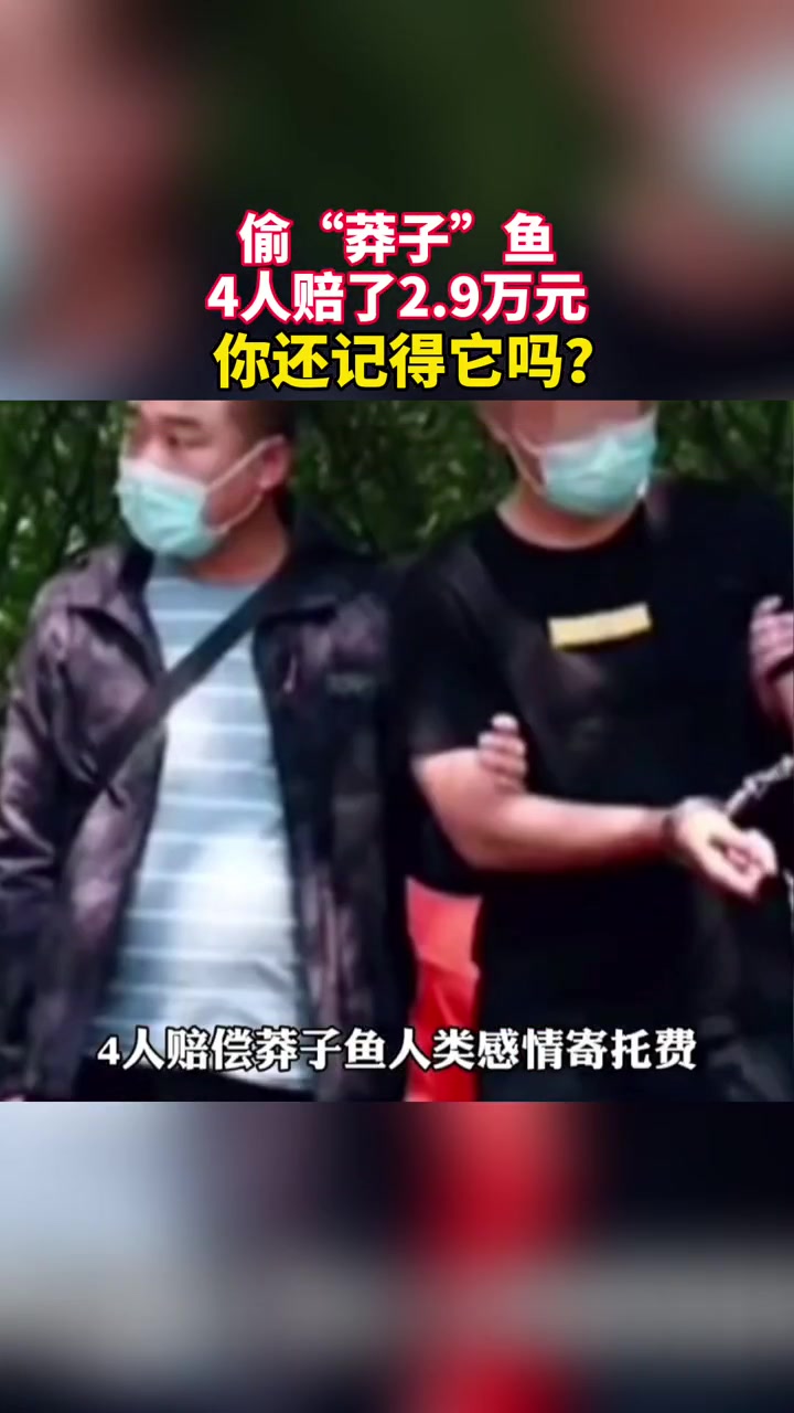 你还记得莽子吗?捞走明星鱼莽子4人赔偿29000元,入选 重庆 生态环境损害赔偿典型案例