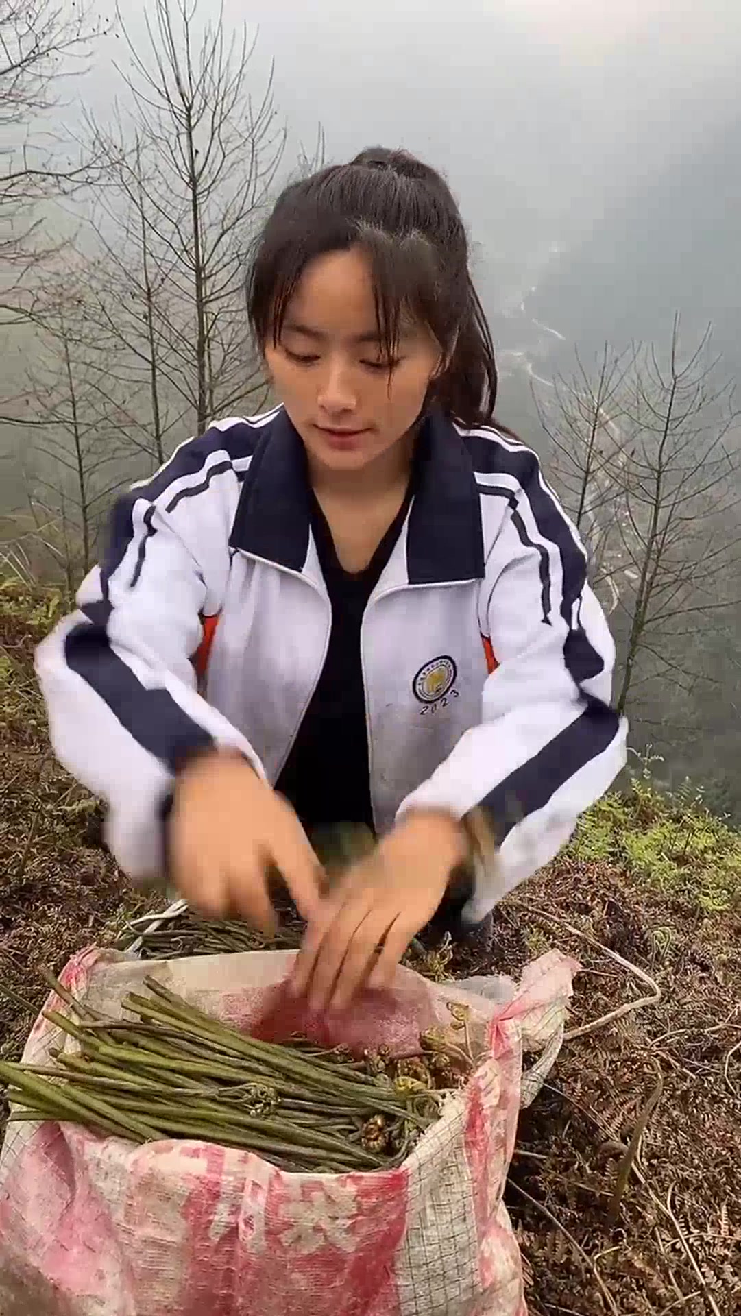 有人说蕨菜不能吃,是致癌物,你们是认真的吗?