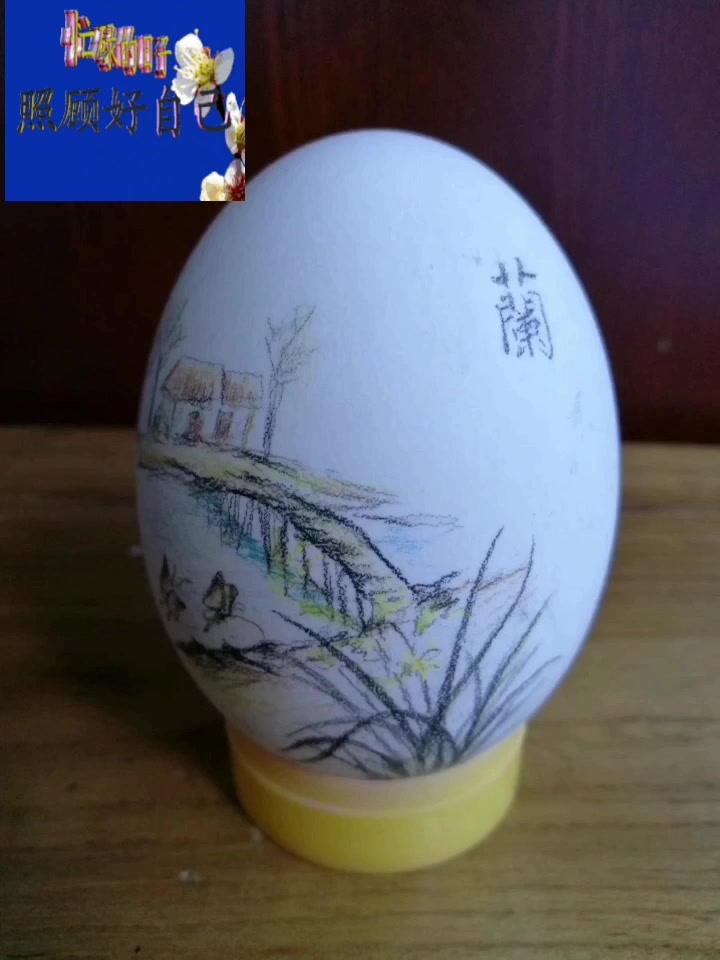 鹅蛋壳作画,彩铅画的有的粗糙。