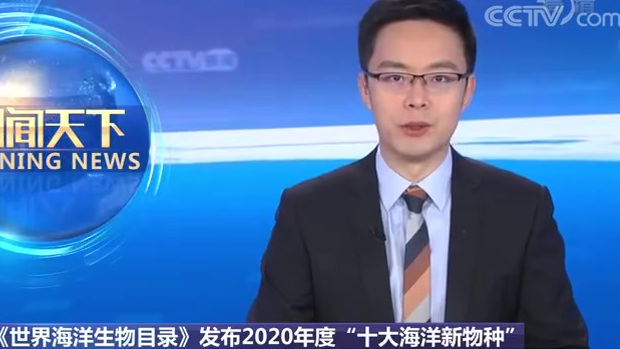 【90后博士给海洋生物命名派大星】日前,上海交通大学博士生张睿妍命名的海洋生物“派大星”,