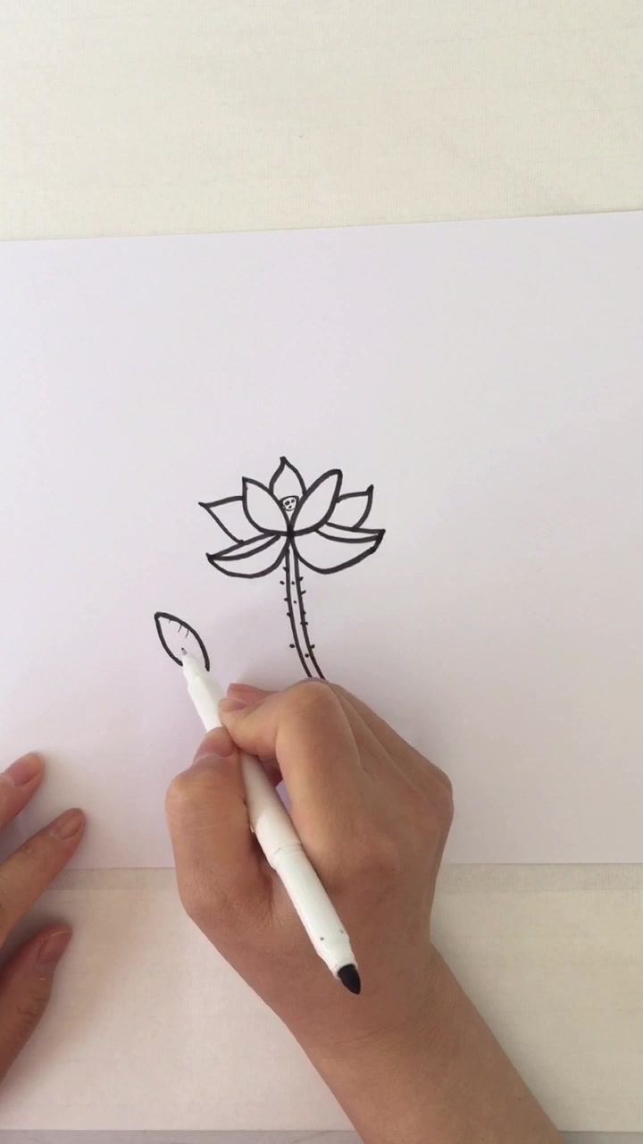 荷花简笔画+儿童创意益智美术+自学画画视频大全