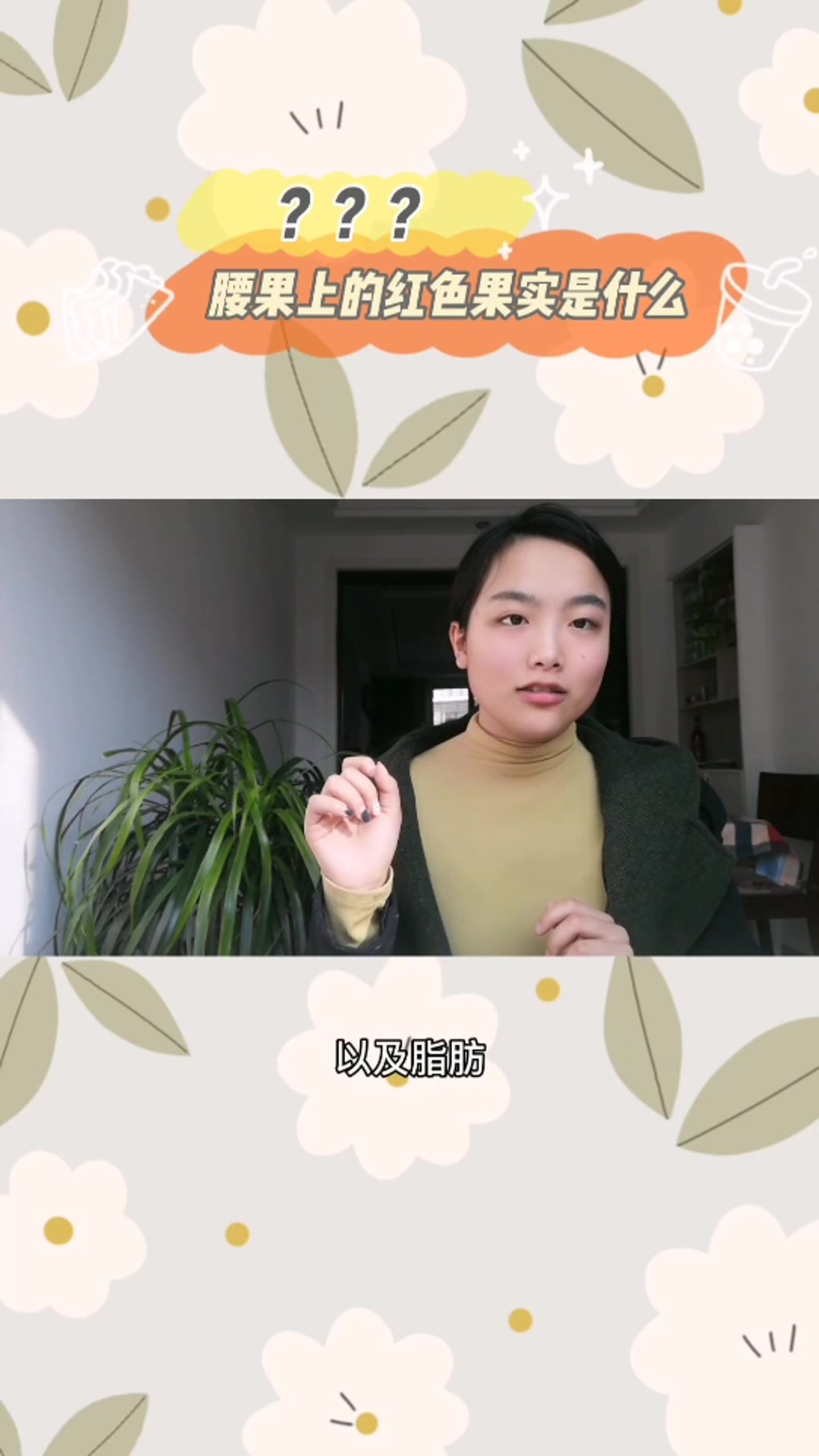 腰果上面的红色果实是什么?