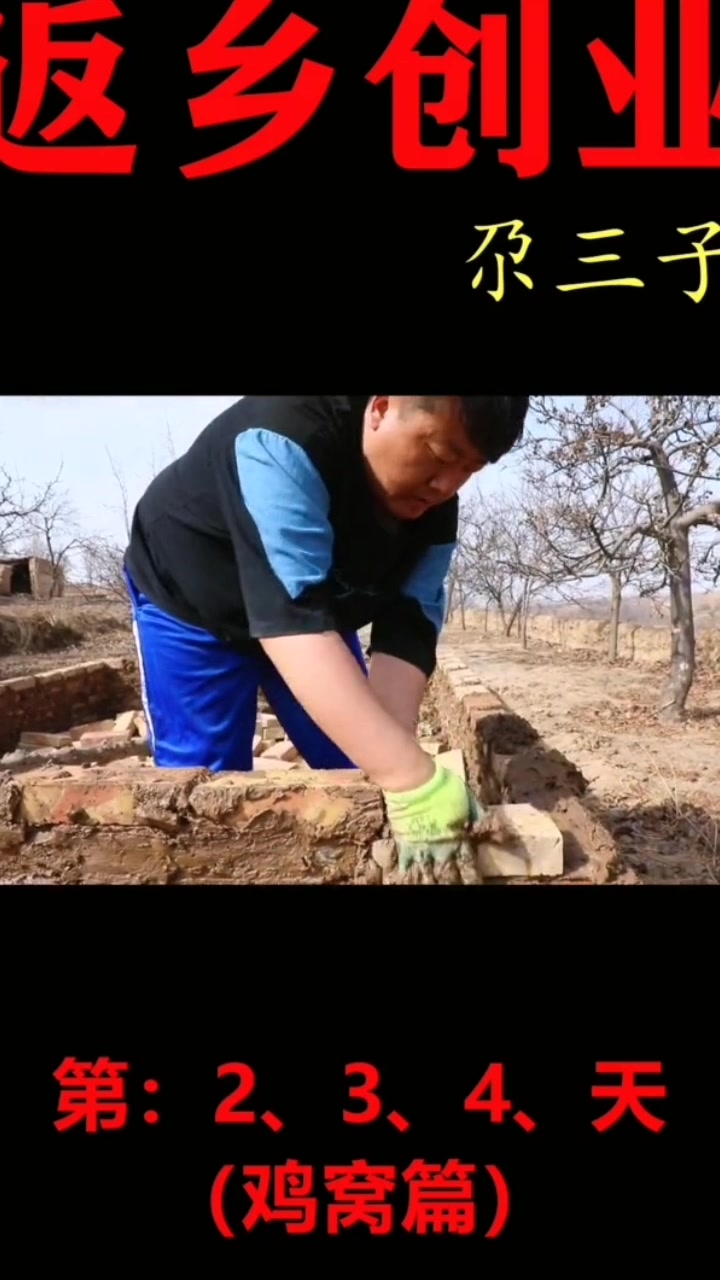 返乡创业之搭建鸡窝