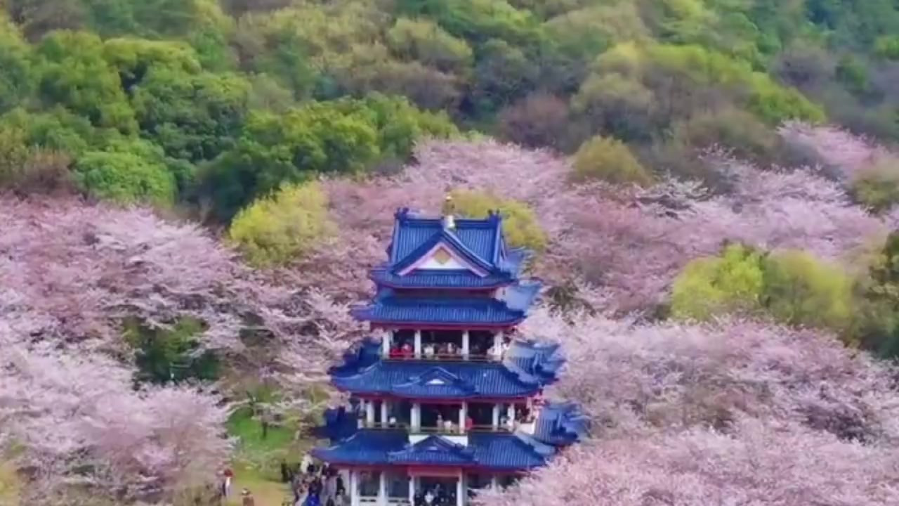 【云南妈妈给女儿手写吃花菜谱 网友:吃花群众来抄作业】三月的春日除了赏花,吃花也别有一番风