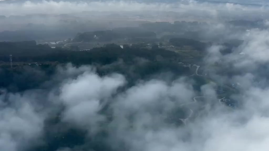 【3分钟榨菜纪录片火了】中国国家地理拍摄的乌江榨菜记录片火遍全网,神秘的北纬30度、一年一