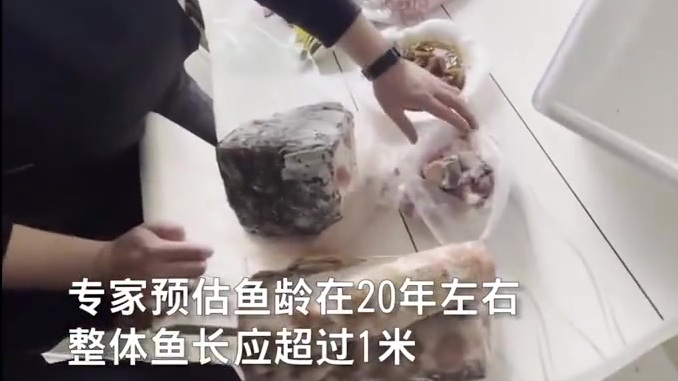【野生中华鲟遭捕杀,警方上门时还在炖着】近日,长航南通公安在开展长江禁渔行动中,侦破一起危
