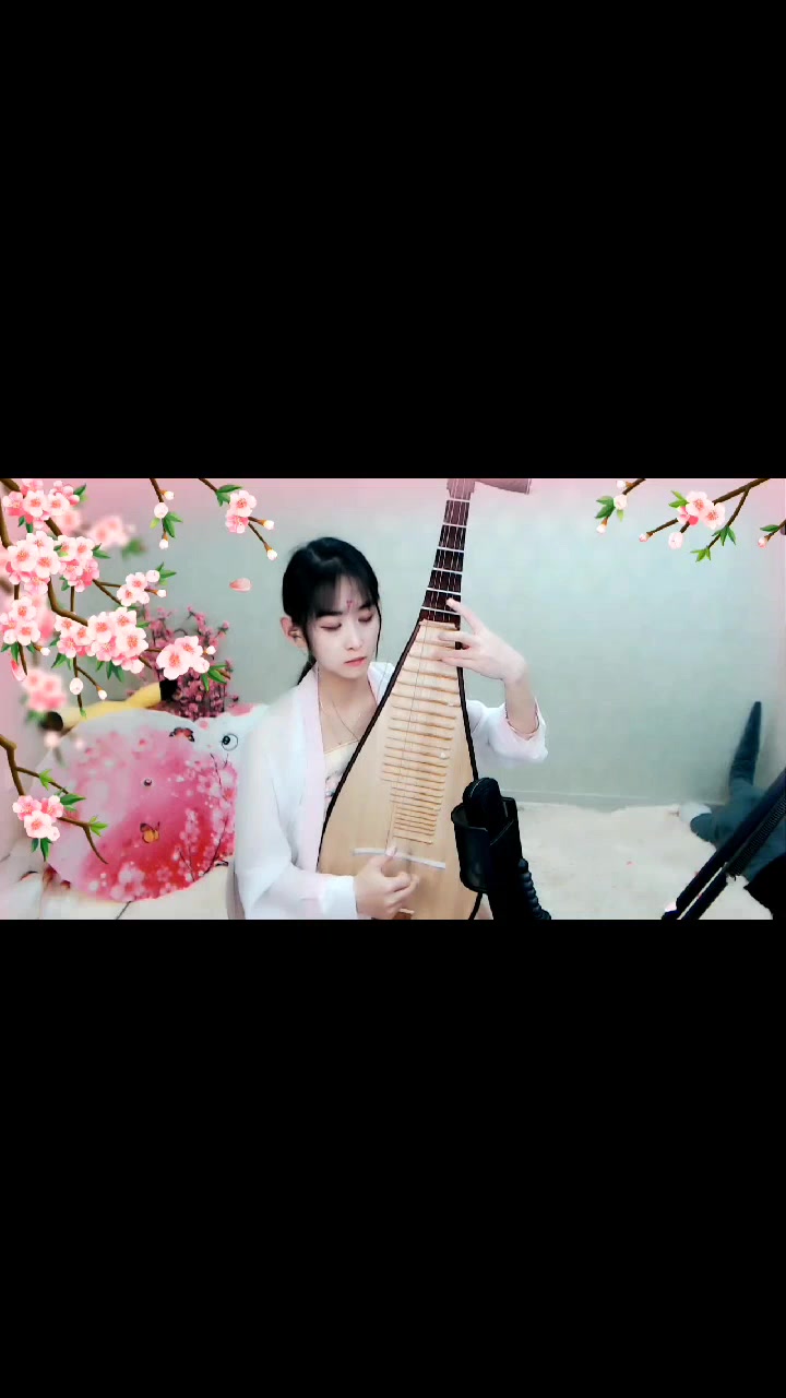 琵琶大鱼  喜欢乐器汉服的小姐姐小哥哥聚集啦