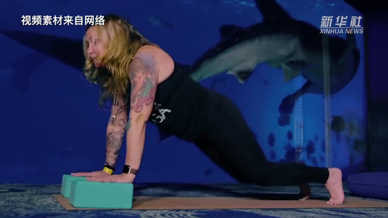【美国一水族馆推出鲨鱼瑜伽】猫咪瑜伽、山羊瑜伽、狗狗瑜伽……这些早已不新鲜。美国亚特兰大佐