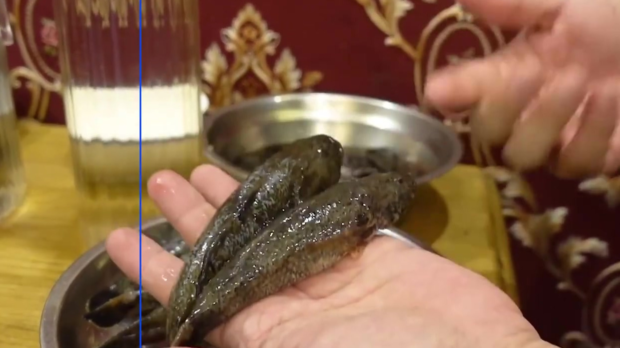 【“春天第一鲜”!上海塘鳢鱼上市一斤最高破百元:较往年有所上升】近日,上海的塘鳢鱼已经在部