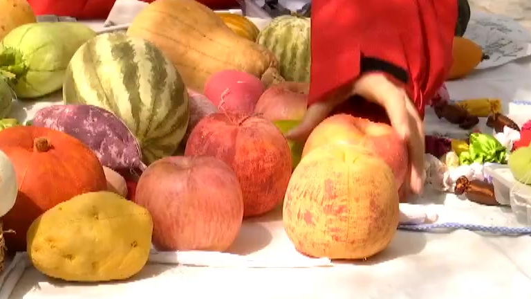 【1:1神还原!#山东# 七旬老人用针线缝出果蔬园】对70岁的赵志纯来说,给她一根针,她能